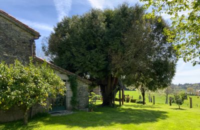 Casa di campagna in vendita Melide, Cabazás, Galizia, Terraza y jardín