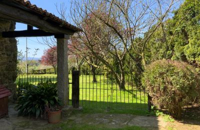 Casa di campagna in vendita Melide, Cabazás, Galizia, Terraza y jardín