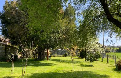 Casa di campagna in vendita Melide, Cabazás, Galizia, Giardino