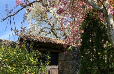 Casa di campagna in vendita Melide, Cabazás, Galizia, Ingresso carrozze