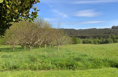 Casa di campagna in vendita Moeche, Sta Cruz de Moeche, Galizia, Proprietà