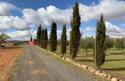 Casa di campagna in vendita Almagro, Almagro, Castilla-La Mancha, Vialetto