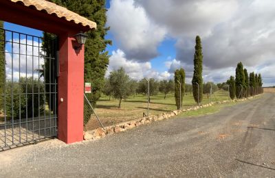 Casa di campagna in vendita Almagro, Almagro, Castilla-La Mancha, Vialetto