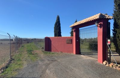 Casa di campagna in vendita Almagro, Almagro, Castilla-La Mancha, Entrada