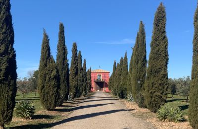 Casa di campagna in vendita Almagro, Almagro, Castilla-La Mancha, Entrada arbolada con cipreses