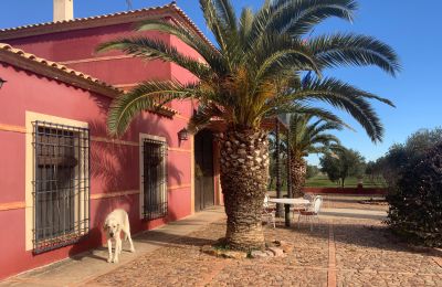 Casa di campagna in vendita Almagro, Almagro, Castilla-La Mancha, Fachada