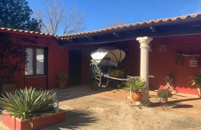 Casa di campagna in vendita Almagro, Almagro, Castilla-La Mancha, Patio y carruaje