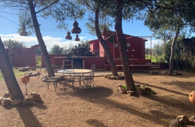 Casa di campagna in vendita Almagro, Almagro, Castilla-La Mancha, Proprietà