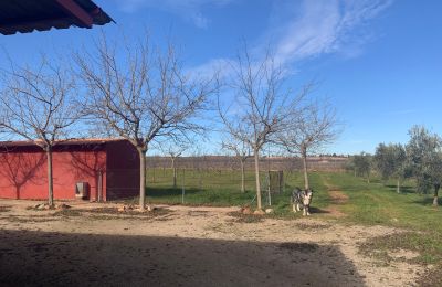 Casa di campagna in vendita Almagro, Almagro, Castilla-La Mancha, Propiedad con almendros