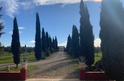 Casa di campagna in vendita Almagro, Almagro, Castilla-La Mancha, Vialetto