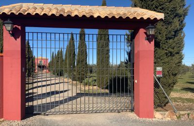 Casa di campagna in vendita Almagro, Almagro, Castilla-La Mancha, Ingresso