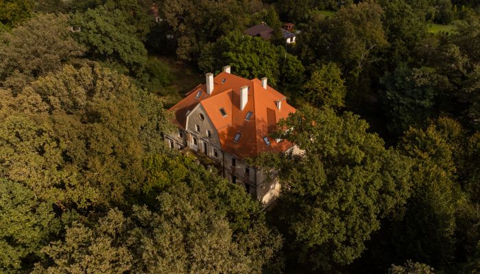 Castello in vendita Wilków, Opole,  Polonia