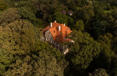 Castello Wilków, Opole