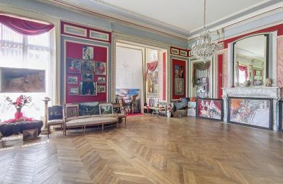 Castello in vendita Le Mans, Paesi della Loira, Salone