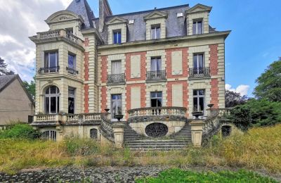 Castello in vendita Le Mans, Paesi della Loira, Vista posteriore