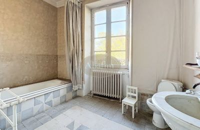 Castello in vendita 31000 Toulouse, Occitania, Bagno