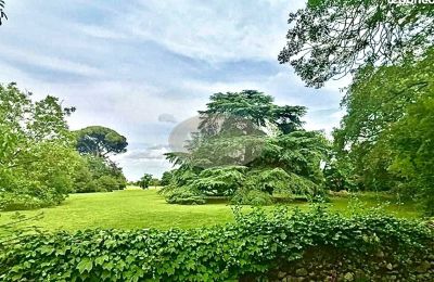 Castello in vendita 31000 Toulouse, Occitania, Parco