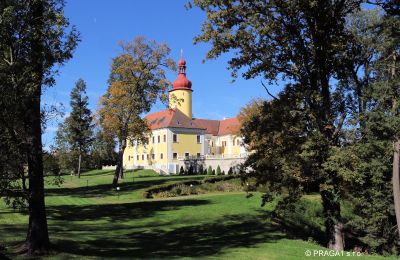 Castello in vendita Repubblica Ceca, Parco