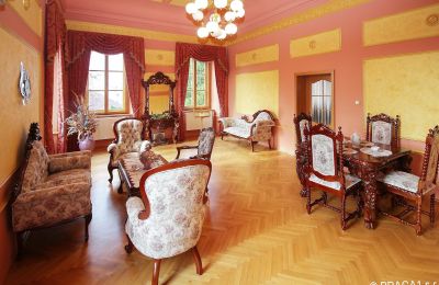 Castello in vendita Repubblica Ceca, Salone