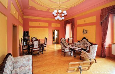 Castello in vendita Repubblica Ceca, Salone