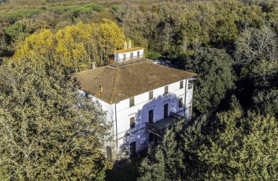 Villa storica in vendita Pontedera, Toscana, Foto 11/27