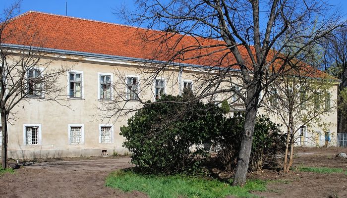 Villa padronale in vendita Rumanová, Regione di Nitra