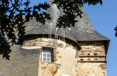 Villa padronale in vendita Paesi della Loira, Foto 20/20