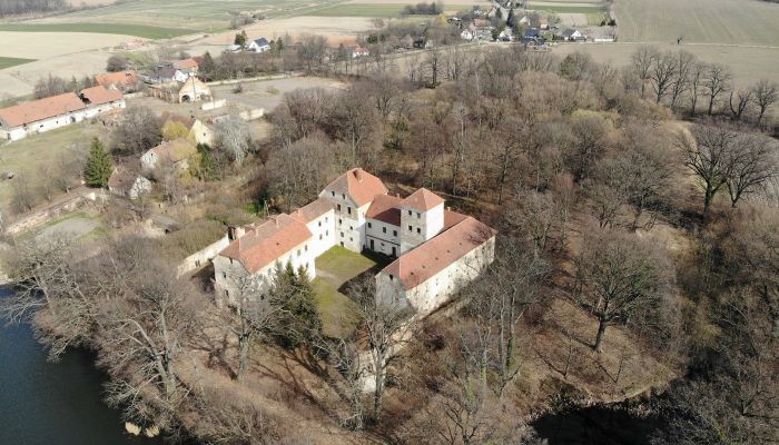 Castello medievale in vendita Witostowice, Bassa Slesia,  Polonia