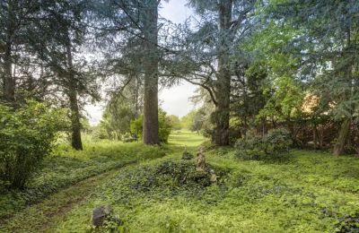 Villa storica in vendita Vernaison, Auvergne-Rhône-Alpes, Proprietà