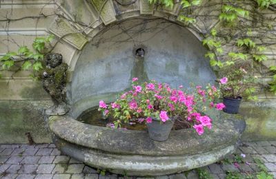 Villa storica in vendita Vernaison, Auvergne-Rhône-Alpes, Dettagli