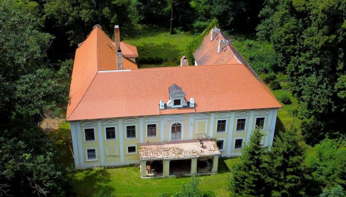 Castello in vendita Plzeňský kraj, okres Klatovy, Klatovy,  Repubblica Ceca