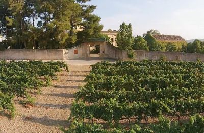 Castello in vendita Santa Oliva, Catalogna, Foto 6/19