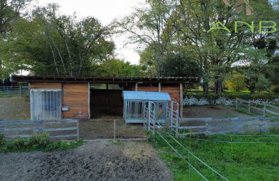 Villa padronale in vendita Busserolles, Nuova Aquitania, Foto 12/27