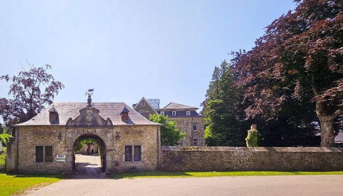 Castello in vendita Astenet, Wallonie,  Belgio
