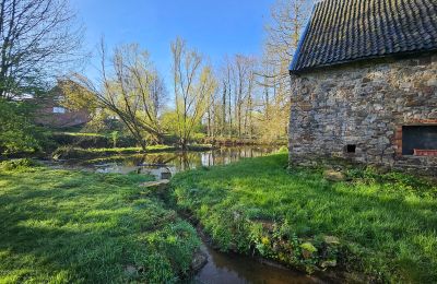 Castello in vendita Astenet, Wallonie, Weiher mit Insel ( ideal für Hochzeitzermonien)
