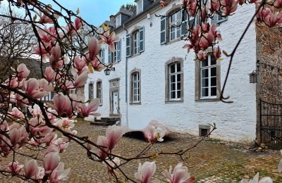 Castello in vendita Astenet, Wallonie, Foto 11/27