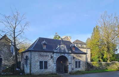 Castello in vendita Astenet, Wallonie, Foto 2/27