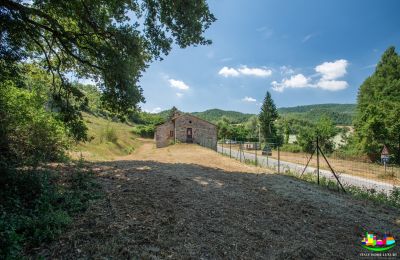 Casa di campagna in vendita Perugia, Umbria, Foto 12/14