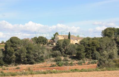 Villa padronale in vendita Vila-rodona, Catalogna, Foto 4/37