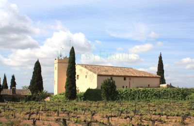 Villa padronale in vendita Vila-rodona, Catalogna, Foto 3/37