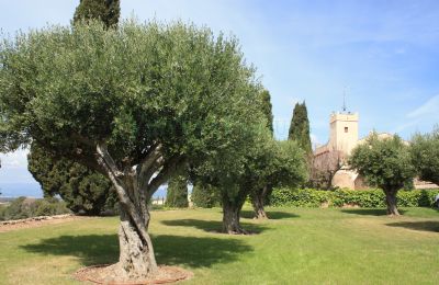 Villa padronale in vendita Vila-rodona, Catalogna, Foto 2/37