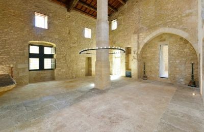 Castello in vendita Uzès, Occitania, Ampio salone