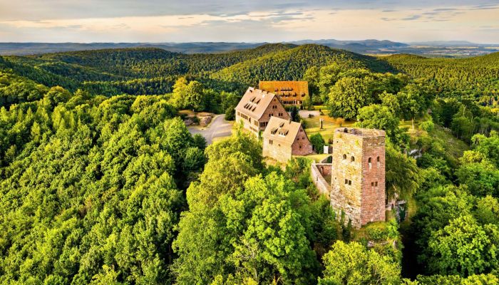 Castello medievale in vendita 67330 Dossenheim-sur-Zinsel, Grand-Est,  Francia