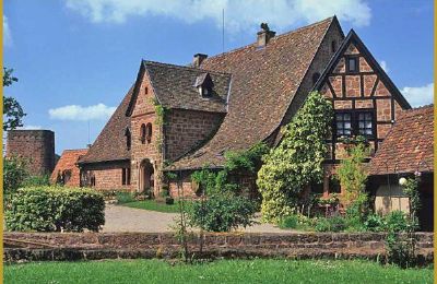 Castello medievale in vendita 67330 Dossenheim-sur-Zinsel, HUNEBOURG, Grand-Est, Foto 6/12