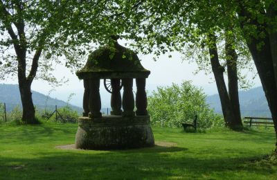 Castello medievale in vendita 67330 Dossenheim-sur-Zinsel, HUNEBOURG, Grand-Est, Foto 8/12