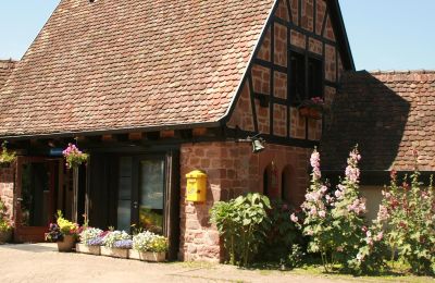 Castello medievale in vendita 67330 Dossenheim-sur-Zinsel, HUNEBOURG, Grand-Est, Foto 9/12
