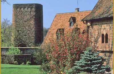 Castello medievale in vendita 67330 Dossenheim-sur-Zinsel, HUNEBOURG, Grand-Est, Foto 11/12