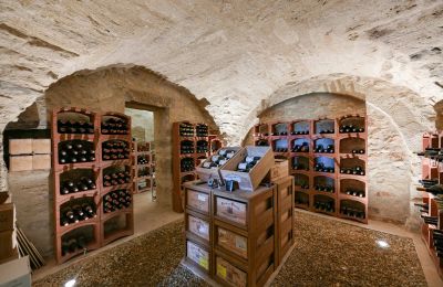 Villa padronale in vendita Uzès, Occitania, Cantina