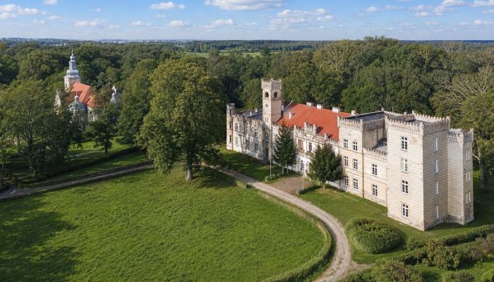 Castello in vendita Gościeszyn, Grande Polonia