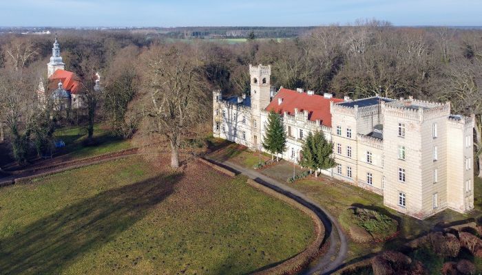 Castello in vendita Gościeszyn, Grande Polonia,  Polonia